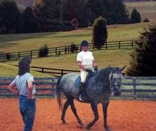 USA-Virginia-Blue Ridge Equestrian Escape